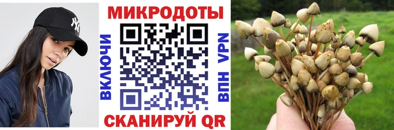 Псилоцибиновые грибы прущие грибы  наркота  Арсеньев 