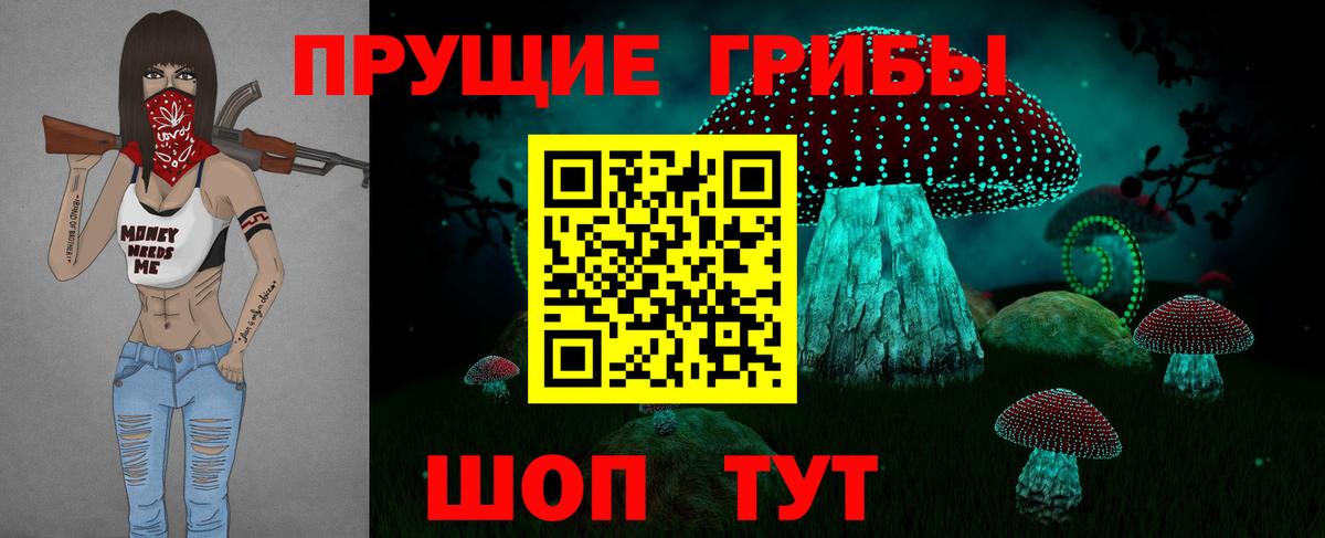 Псилоцибиновые грибы Cubensis  Вход с VPN  Арсеньев 